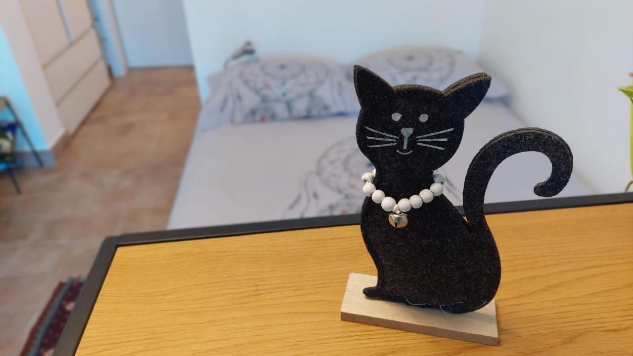 Pri Piratski Macki - At The Pirate Cat - Dal Gatto Pirata Копер Екстериор снимка